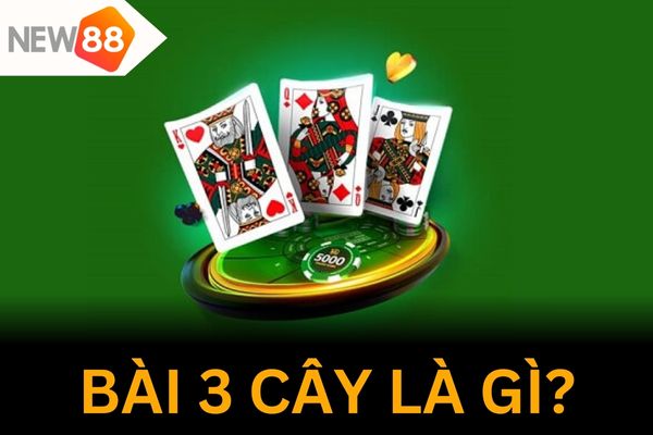 Tìm hiểu bài ba cây là gì? 