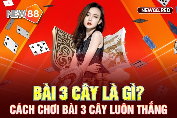 Bài 3 cây là gì? Cách chơi bài ba cây luôn thắng từ cao thủ