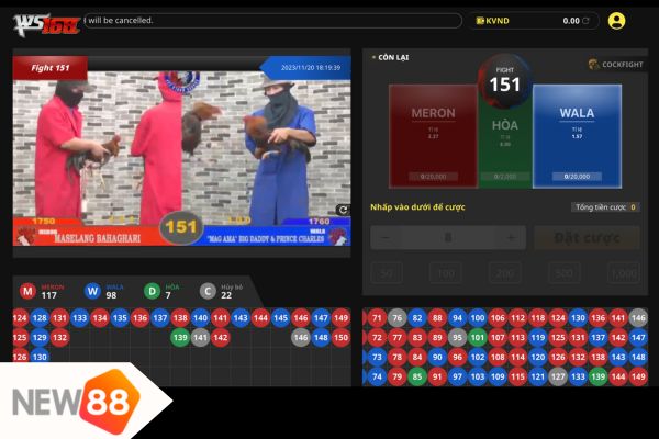 Cách tham gia cá cược đá gà Thomo là gì?