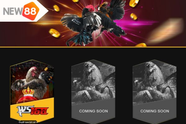 Điểm thu hút của New88 khi tổ chức cá cược đá gà Thomo là gì?