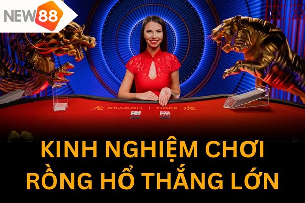 Học hỏi kinh nghiệm chơi rồng hổ từ cao thủ giúp bạn tăng tỷ lệ thắng